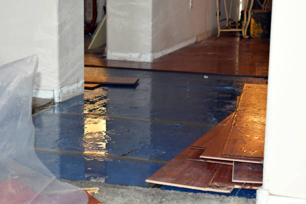 Professional Sewage Cleanup technician working in Springfield, MI